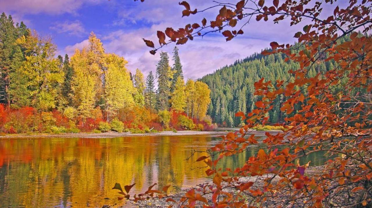 Luxe Leavenworth Cottage Dış mekan fotoğraf